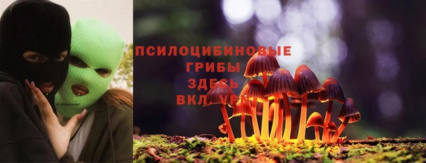 спайс Инсар