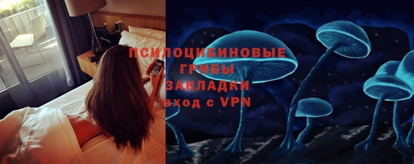 стаф Каменка