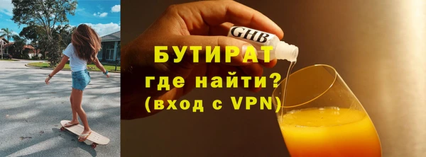 индика Каменногорск