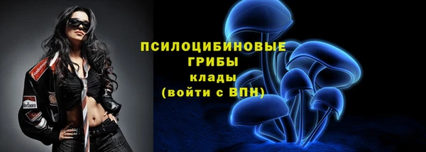 кокс Инта