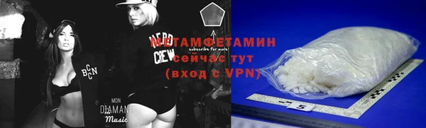 индика Каменногорск