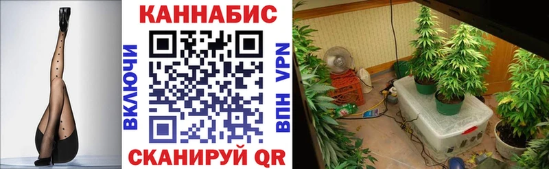МАРИХУАНА THC 21%  Купить закладки  Духовщина 